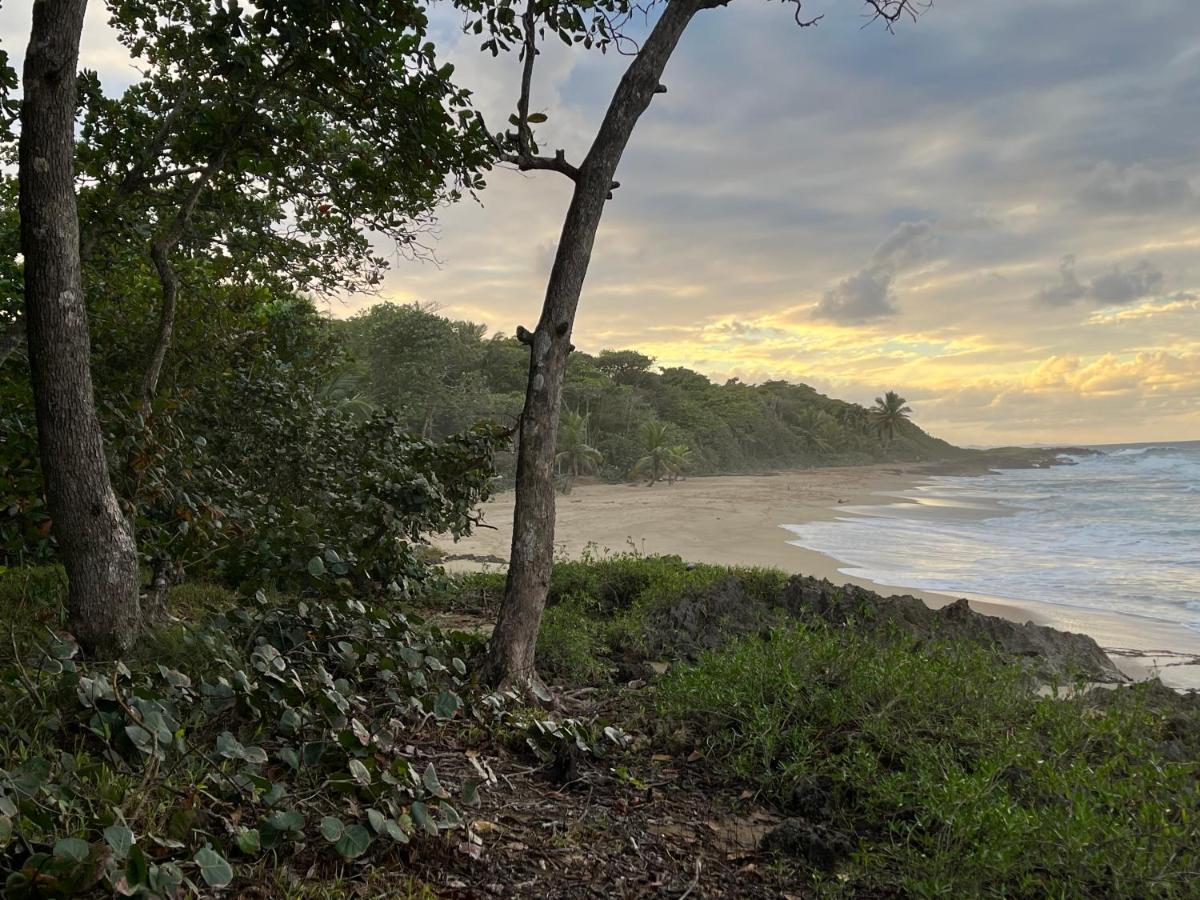 Beach Cabarete Ecolodge De Luxe Maravilla Encuentro Surf, Kite Екстериор снимка