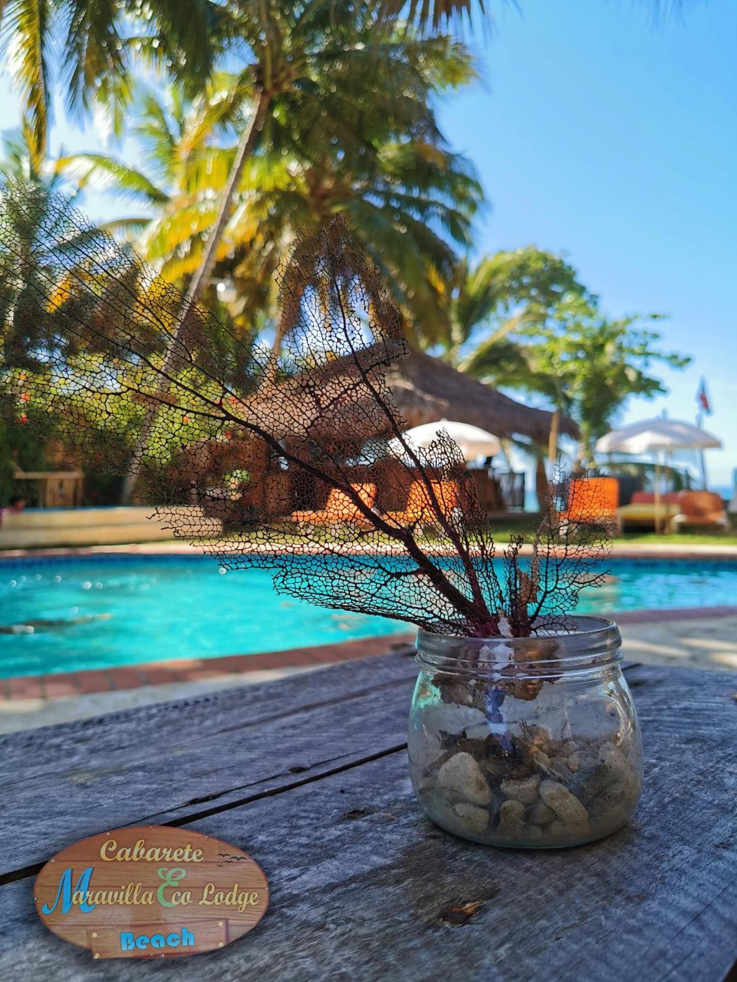 Beach Cabarete Ecolodge De Luxe Maravilla Encuentro Surf, Kite Екстериор снимка